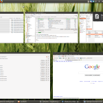 Compiz - effetto Scala finestra (Expose)